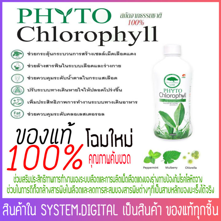 phyto-chlorophyll-ไฟโต-คลอโรฟิลล์-phhp-แท้