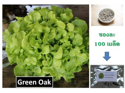 เมล็ดพันธุ์ผักสลัด Green Oak (กรีน โอ๊ค) ชนิดเคลือบ 100 เมล็ด ยี่ห้อ Enza Zaden