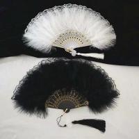 Vintage Feather Folding Fan Performance Prop Party Decoration Dark Gothic Court Dance Hand Fan Lace Fan for Wedding Bride