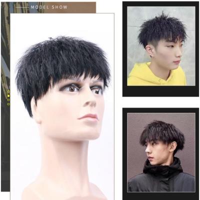 Fashion Short Men Toupee 100 Human Hair Wigs for Male Natural And Brown Color Toupee Hair Replacement with Side Bangs Foil Hot Instant Noodles Volume Fluffy