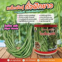 น่าซื้อ เมล็ดพันธุ์ถั่วฝักยาวโอเชี่ยน พลัส (Tiger Seeds) ขนาด 500 กรัม สุดคุ้ม