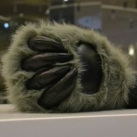 Faux Fur Bear Wolf Paw Gloves Furry Animal Claw Mitts Halloween Cosplay Favors