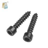 100pcs/lot Hex Hexagon Socket Cap Head Self Tapping Screw Grade 8.8 Black Carbon Steel Allen Head M2 M2.6 M3 M3.5 M4 M5 M6