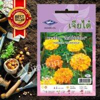 เมล็ดพันธุ์ ดาวเรือง เจียไต๋รุ่งเรือง Marigold seedเจียไต๋ 0.5 กรัม 156 เมล็ด ต้นไม้ เมล็ดดอกไม้ ดอกไม้ เมล็ดพันธุ์พืช