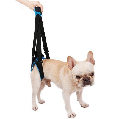 （PAPI PET）สายรัดยกสายจูงสุนัขปรับได้สำหรับสุนัขสูงอายุ,สายรัดพยุงหลังสำหรับสัตว์เลี้ยง