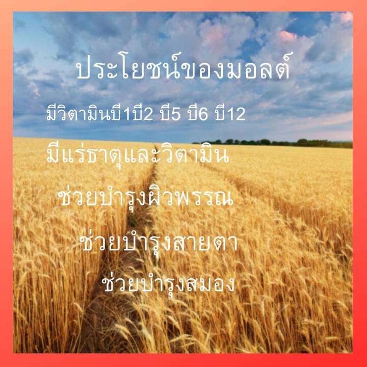 กิฟฟารีน-แอคทีฟ-ไวท์-มอลต์-เครื่องดื่มมอลต์ปรุงสําเร็จรูปชนิดผง-หอม-อร่อย-มีประโยชน์-กิฟฟารีนแท้100-ส่งฟรี