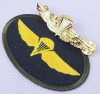 tomwang2012. US Navy Parachutists Wings Badge Pin WITH Embroidery Patch