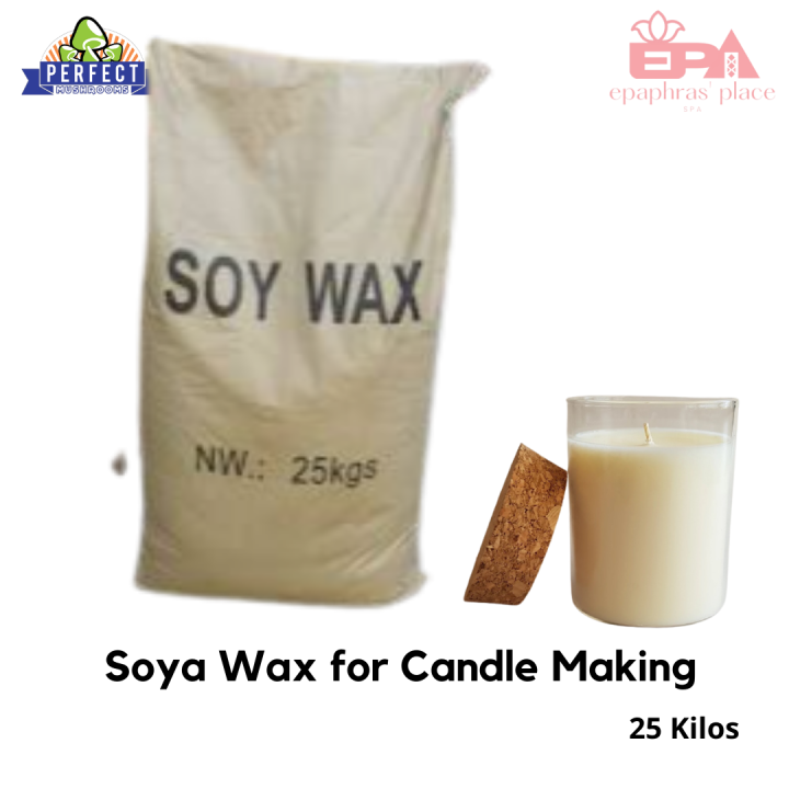 Soy Wax / Soya Wax for Candle Making 100% Natural 25 Kilos | Lazada PH