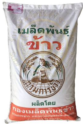 เมล็ดพันธุ์ข้าวเหนียว สันป่าตอง1 ผลิตโดย ศูนย์เมล็ดพันธุ์ข้าว กรมการข้าว