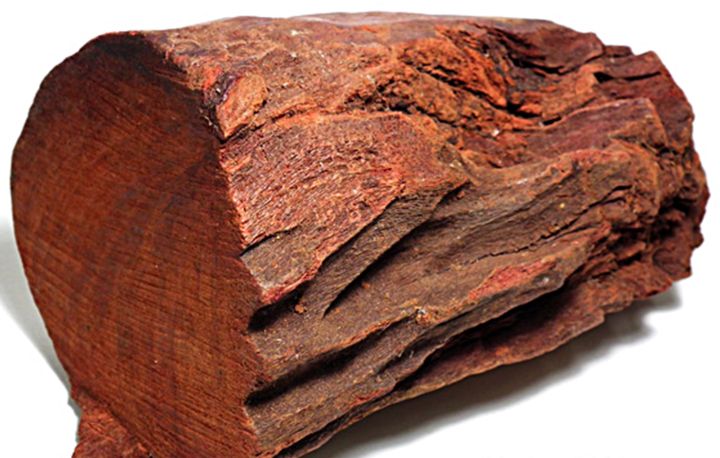 ขายส่ง-1-กิโลกรัม-เมล็ดจันทน์แดงอินเดีย-pterocarpus-santalinus-ชื่ออื่นว่า-รักตจันทน์-สุดยอดแห่งไม้มูลค่าสูง-ไม้ป่าหายาก-ไม้หอมแก่นจันทน์