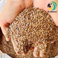 ลินซีด Linseed อาการนกแก้วขนาดเล็ก เลิฟเบริ์ด นกแก้ว นกเขาเล็ก แบ่งขาย 1 กิโลกรัม