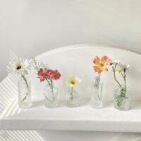 jfjg♧❡  Glass Vase Photography Props Room