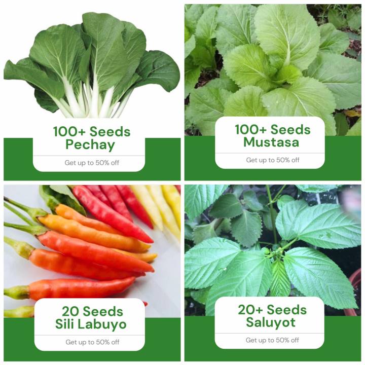 Sale All In 4 In 1 Pack Vegetable Seeds Pechay Mustasa Sili Labuyo