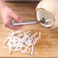 ANPRO Coconut Scraper Stainless Steel Planing Peeling Grater Fish Scales