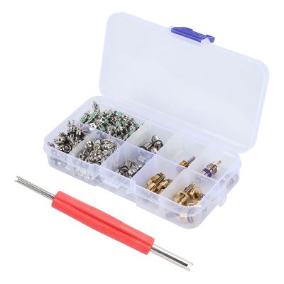 135 Pcs Auto Air Conditioning A/C Valve Core R134 Remover Assortment Kit For Toyota Honda Lexus Nissan Hyundai Gm Ford Chrysler