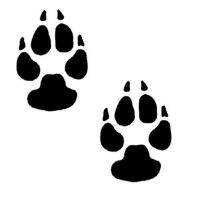 【cw】 7x10CM Classic Animal Paw Print Car Sticker Fashion Funny Car Motorcycle Accessories Black/Silver C6 1450