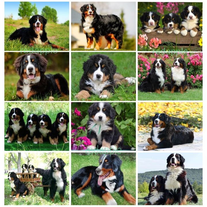 มาใหม่-puppy-bernese-mountain-dog-artwork-crystal-beads-art-เหมาะสำหรับตกแต่งบ้านและผู้ที่ชื่นชอบศิลปะ