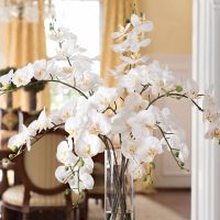 hotx【DT】 1PC Artificial Flowers Real Moth Orchid Table Wedding Decoration