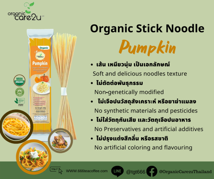 organic-care2u-pumpkin-organic-stick-noodle-เส้นออร์แกนิค-รสฟักทอง-200-g