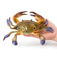 Childrens simulation model of Marine animal toy giant swimming crab red crab three-eyed crab crab