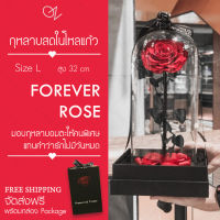 กุหลาบในโหลแก้ว Size L สูง 32 cm Preserved Rose ของขวัญครบรอบ กุหลาบอมตะ ของขวัญให้แฟน ดอกกุหลาบ กุหลาบสดในโหลแก้ว【ของแท้】