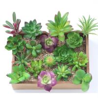 ตกแต่งบอนไซดอกบัวดอกไม้ปลอมพืชเทียม Succulents งานฝีมือดอกไม้สำนักงาน ICYSTORE70IC0