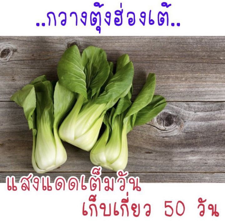 ผักกวางตุ้งฮ่องเต้ทนร้อน-เมล็ดผักกวางตุ้งฮ่องเต้-2500-เมล็ด