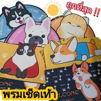 พรมเช็ดเท้าหน้าห้อง ขนาด 60*40 CM ลายสัตว์น่ารัก ???