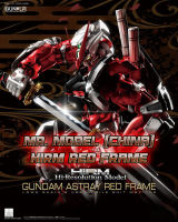 ***กล่องไม่สวย***[MR Model,MJH] HiRM 1/100 Astray Red Frame &amp; Decal