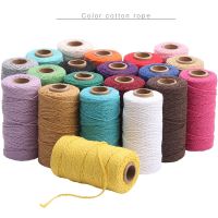 Cotton Cord 3Mm X 100M 100% Natural Cotton Macrame Rope Cotton Cord For Handmade Macrame Supplies, Wall Hanging, Plant Hangers