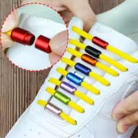 2022 New Elastic Color Semicircle Capsule No Tie Shoe Laces Metal Buckle Lazy ShoeLaces for Kids /Adult Shoe Accessories