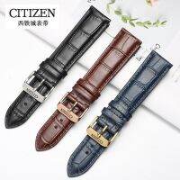 ♗ ✖□❃ สายหนังของ Citizen รุ่นเดิมพลังงานจลน์ของนาฬิกากลไกไฟนาฬิกาซีรีส์อุปกรณ์เสริมเข็มหักเงินสำหรับผู้ชายและผู้หญิง