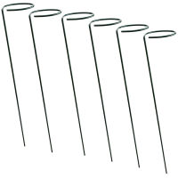 6Pcs Plant Support Stakes iron wire Single Stem Support Stake Garden Support Ring for Flower/Tomatoes with Plant Clip