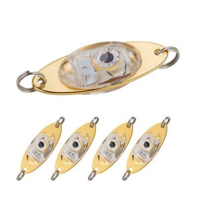 5 Pcs Mini Fishing Lure Light LED Deep Drop Underwater Eye Shape Fishing Bait Luminous Lure Fishing Light