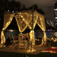 Curtain LED 3x3m 300led String Light USB Fairy Icicle Copper Wire Remote Control Christmas Wedding Garden Window Outside