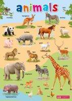 โปสเตอร์พลาสติก Animals (ปรับปรุงใหม่)