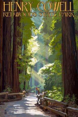 Henry Cowell Redwoods สเตทพาร์คทางเดินในแคลิฟอร์เนีย X Giclee Gallery ภาพพิมพ์ศิลปะเครื่องตกแต่งฝาผนังพื้นผิวที่สดใส