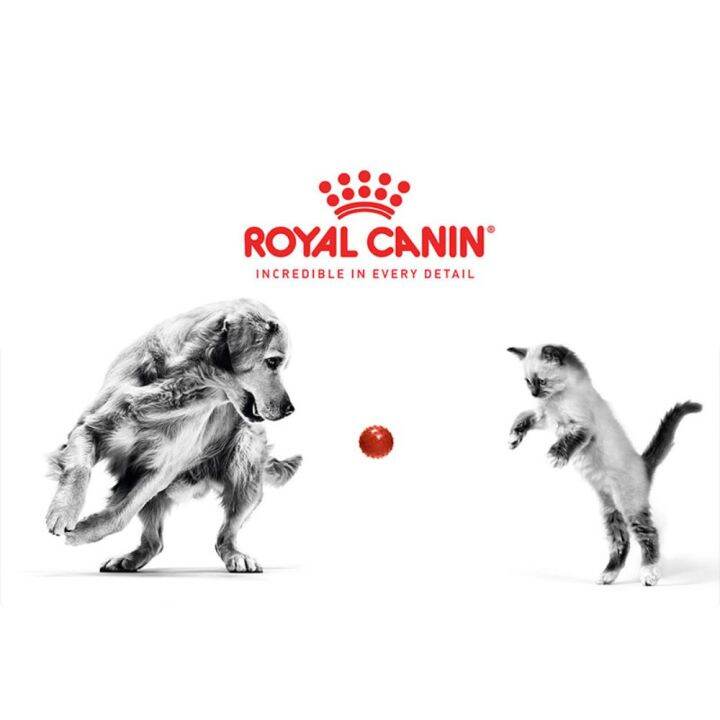 royal-canin-aroma-exigent-2kg-หมดอายุ-10-2023