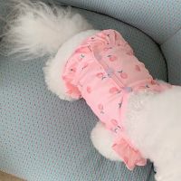 Puppy Summer Sweet Cute Pet Dog Clothes Summer Princess Dresses Teddy Bears Dogs Puppies Dogs Clothing For Small Dogs Dresses