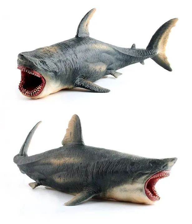 Foto ikan hiu megalodon