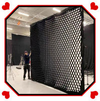 Egg  Grid for butterfly frame studio equipment