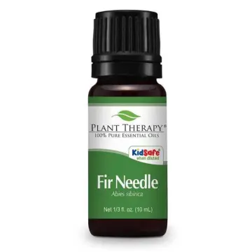 Plant Therapy Balsam Fir Essential Oil 30 mL (1 oz) 100% Pure, Undiluted,  Therapeutic Grade