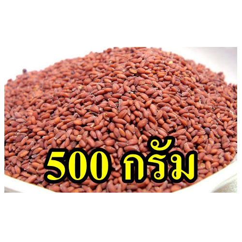 500-กรัม-เมล็ดเทียนแดง-ปลอดสารพิษ-ออแกนิค-ใหม่-คุณภาพดี-100