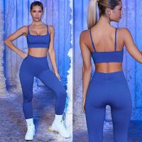 Seamless Yoga Set Women 2PCS Two Piece Crop top Bra Leggings Sport suit Gym Workout Outfit Fitness Sport Wear Gym Suit Clothes