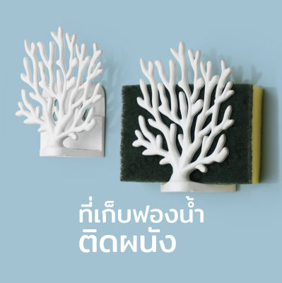 ที่เก็บฟองน้ำ สก็อตไบรท์ ที่เก็บฟองน้ำติดผนังรุ่นปะการัง ปะการัง - Qualy Coral Sponge Holder