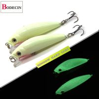 2PC Artificial Sea Fishing Lure Minnow 3D Luminous Bait For Fish Night Saltwater Tackle Lighted Plastic For Fishing Lures China