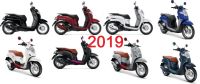 แท้ศูนย์ ชุดสี Scoopy i ปี 2019 เบิกศูนย์ HONDA เฟรมรถ scoopyi เปลือกรถ เฟรมscoopy กาบสกูปี้ (สติ๊กเกอร์ติดมาจากโรงงาน)  (H052)