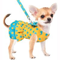 Luxury Bowknot Dog Dress for Small Dogs Summer Yorkie Chihuahua Girl Puppy Dog Clothes Princess Harness Dress and Leash Set Dresses