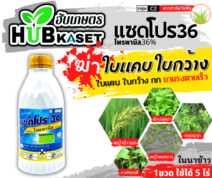 แซดโปร36-1ลิตร-โพรพานิล-คุมวัชพืชในนาหว่านน้ำตม-ทั้งใบแคบ-ใบกว้างและกก