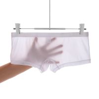 【CW】 Low waist Small Boxers Men Transparent Thin Breathable Men  39;s Silk Briefs